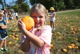 Pumpkin Patch