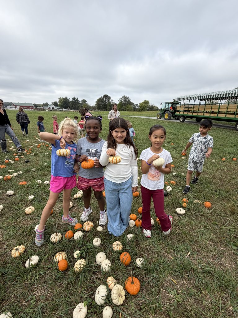 Three children posing with pumpkins in a field.