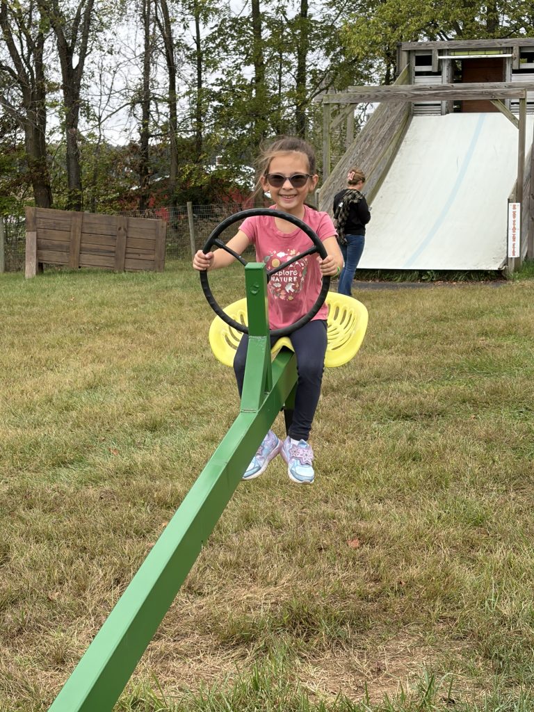 Little girl sitting on a toy steering wheel in front of a wooden play structure.