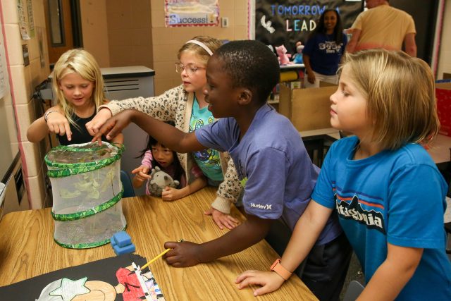 four students looking at butterfly