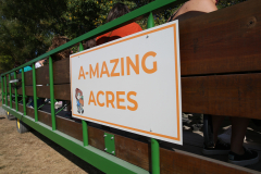 NP-Amazing-acres-9.20.24-121