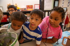 Northpoint-2nd-Grade-Butterfly-Life-Cycle-9-12-25-221
